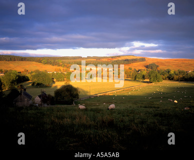 Late afternoon view over fields towards Falstone village in autumn, Northumberland National Park, England, UK. Stock Photo