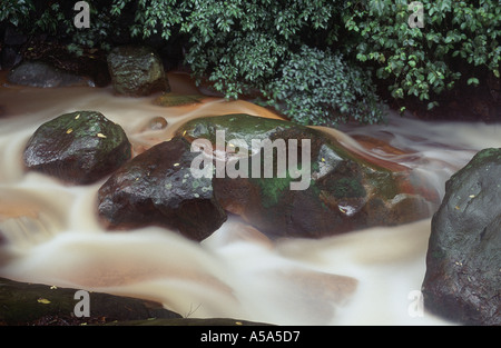 A mountain stream in Yangmingshan National Park Taiwan Stock Photo