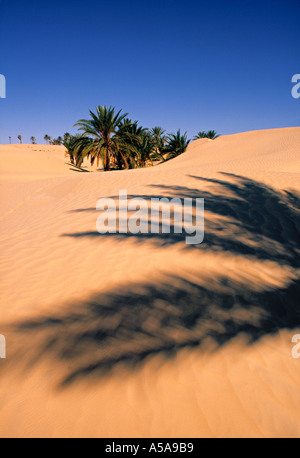 Sahara Desert, Douz, Tunisia Stock Photo