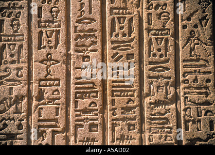 Hieroglyphs, Dendera Temple, Qena, Egypt Stock Photo