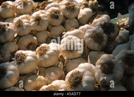 Garlics, Marseilles, France Stock Photo
