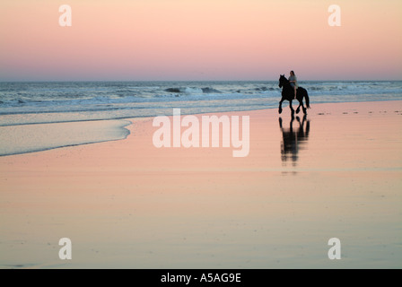 Woman riding Friesian stallion and on beach at dusk Stock Photo