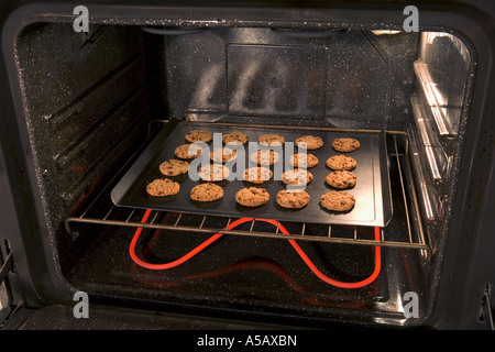 Cookies in the Oven Stock Photo