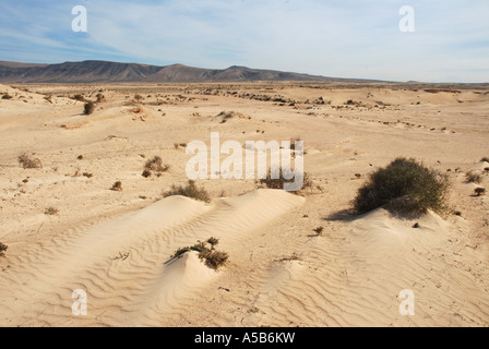 Desert sand in Lanzarote Canary Islands Spain National Park Stock Photo