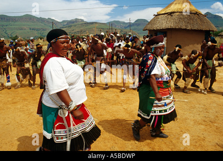 Zulu man traditional outlet attire