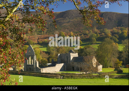 Valle Crucis Abbey near Llangollen Denbighshire Wales Stock Photo