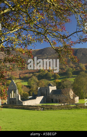 Valle Crucis Abbey near Llangollen Denbighshire Wales Stock Photo