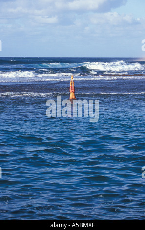 Man in doing handstand head in sea Kauai Hawaii Stock Photo