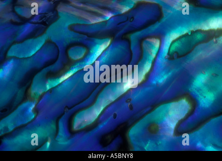 Detail of enamel patterns in abalone shell Ontario Stock Photo - Alamy