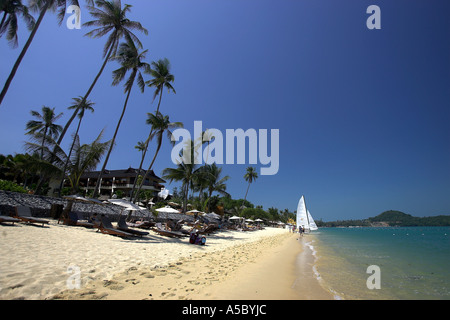 Leaning palm trees and sunshades line Bo Phut Beach as off beach catamaran is launched Ko Samui island Thailand Stock Photo