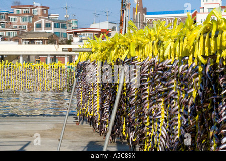 Small Fish Strung up to Dry Sokcho South Korea Stock Photo