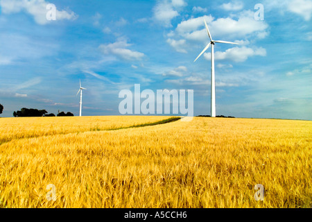 Wind turbines in field Stock Photo