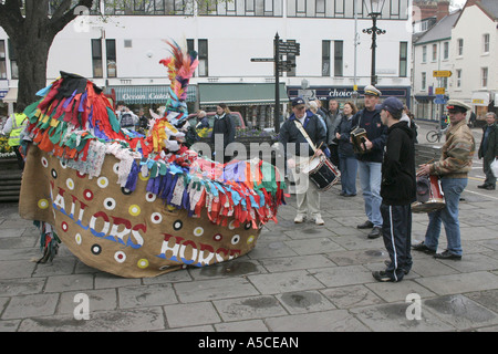 Minehead s Sailors Horse takes a bow while dancing in the town centre for the Mayday celebration Stock Photo