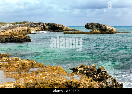 Mexico, Chankanaab Lagoon state Park on the island of Cozumel Stock Photo