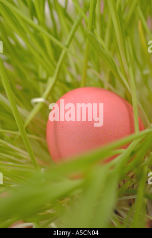 Red Easter Egg in Green Grass Stock Photo