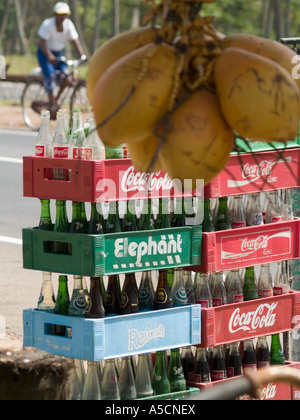 Local Sri Lankan soft drinks vs international brands with coconut water as option nearby Stock Photo