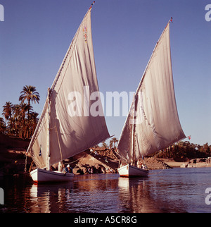 felucca boats on Nile river in Aswan Stock Photo - Alamy