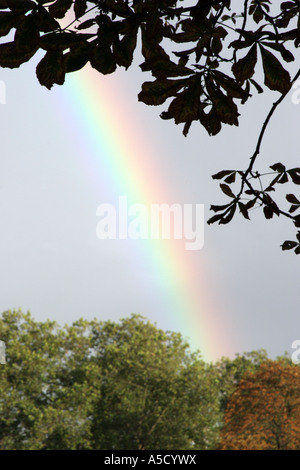 Rainbow in Queens Park, North West London Stock Photo