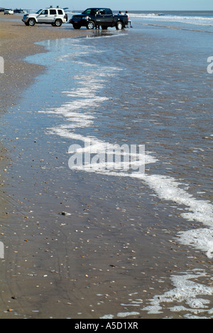 Shells on a sandy beach on Bolivar Peninsula Stock Photo