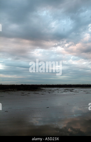 Sun reflection on a beach on Bolivar peninsula Stock Photo