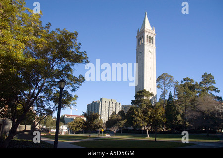 Sather tower, also known as the Campanile, University of California Berkeley campus Stock Photo