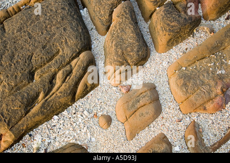 Landscapes of Coral & weather worn eroded Sandstone formations, infilled with shingle, sand, shapes, & grasses, Krabi Beach resort, Southern Thailand Stock Photo