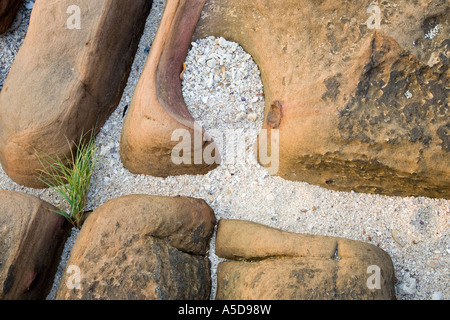 Landscapes of Coral & weather worn eroded Sandstone formations, infilled with shingle, sand, shapes, & grasses, Krabi Beach resort, Southern Thailand Stock Photo