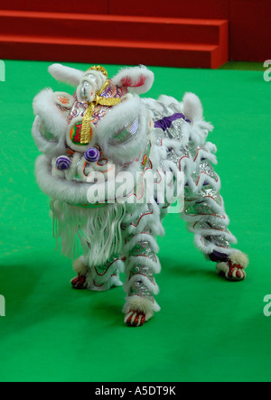 chinese new year celebration lion dance