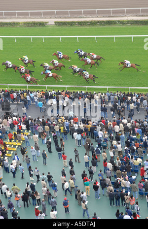 Spectators watch horse racing at Sha Tin Racecourse located in Sha Tin in the New Territories.  in Hong Kong China Stock Photo