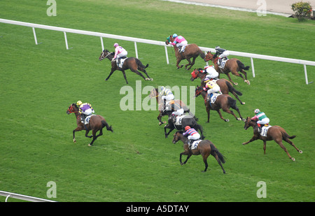 Horse racing at Sha Tin Racecourse in Hong Kong located in Sha Tin in the New Territories. China Stock Photo