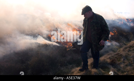 Gamekeeper dousing fire during controlled heather burning on the North Yorkshire Moors, UK Stock Photo