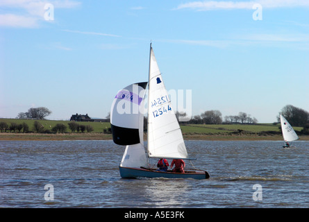 GP14 Dinghies racing on the River Wyre Stock Photo