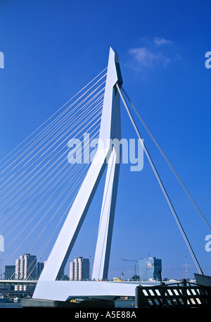 Erasmus Suspension Bridge Rotterdam Holland Netherlands Stock Photo