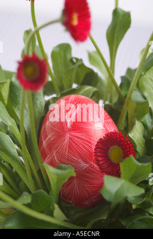 Easter egg with bellis perennis Stock Photo