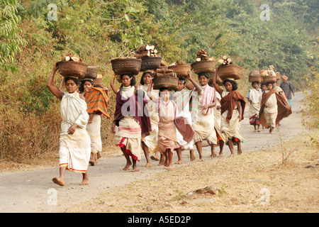 Dongria Kondh tribal women carrying heavy loads on their way to the weekly  barter market ,Orissa,India. Stock Photo