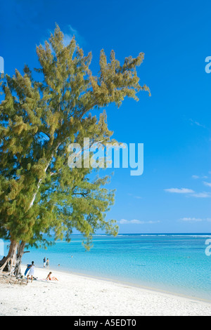 The Lagoon at L'Hermitage, Reunion Island Stock Photo - Alamy