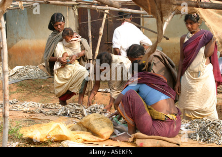 Dongria Kondh women at their weekly tribal market Orissa India Stock Photo