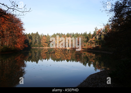 Serene lake reflecting autumnal foliage on a clear day. Stock Photo