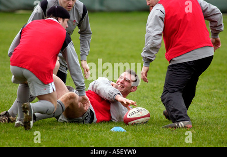 Wales rugby team training at Sophia Gardens Cardiff South Wales UK Stock Photo