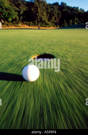 Golf ball rolling near cup. Stock Photo