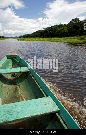 the bow of a dugout canoe on the arasa river in the amazon