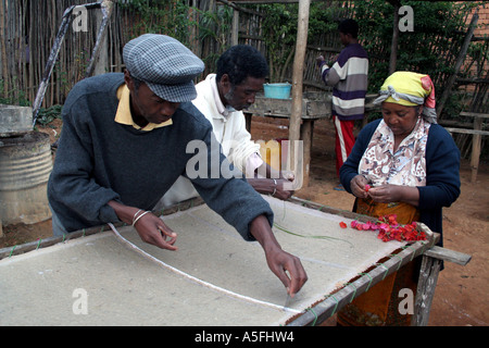 Fianarantsoa, Madagascar, Family business making handmade flower pressed paper Stock Photo