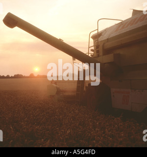 Combine harvesting late on a summer's evening with the sun setting bathed in orange light, Berkshire Stock Photo