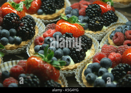 Berry Tart Stock Photo