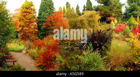 Fletcher moss arboretum Didsbury Park Manchester Lancasdhire U K Europe Stock Photo