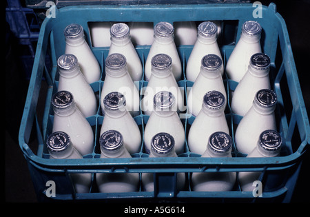 Crate of bottled milk Stock Photo