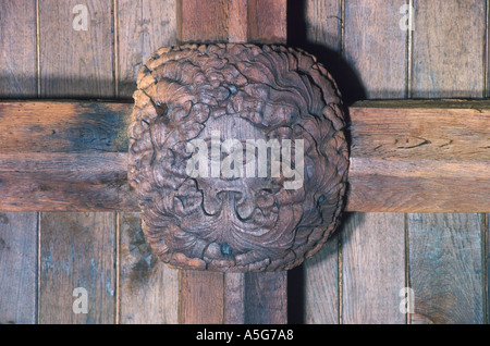 Greenman or Green man roof boss wooden carving St Andrews Church, South Tawton Devon. HOMER SYKES Stock Photo