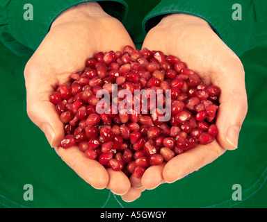 MAN HOLDING POMEGRANATE SEEDS Stock Photo