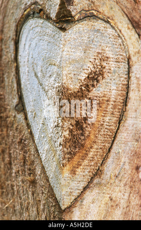 Wooden Heart shape Stock Photo