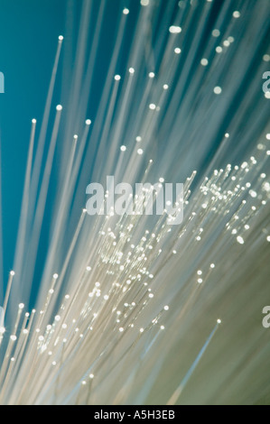Colorful fiber optical cables Stock Photo